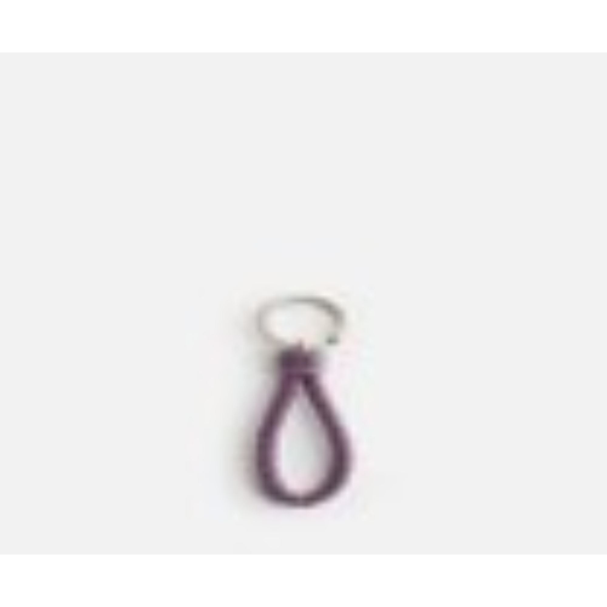 COAXIAL KEYRING - EGG PLANT-SILVER