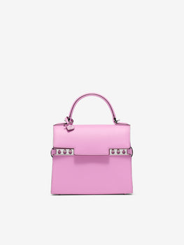 (Tempete)_Tempête Small Alpina Calf Orchid