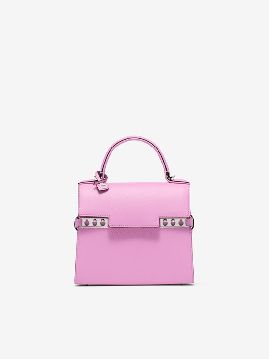 (Tempete)_Tempête Small Alpina Calf Orchid