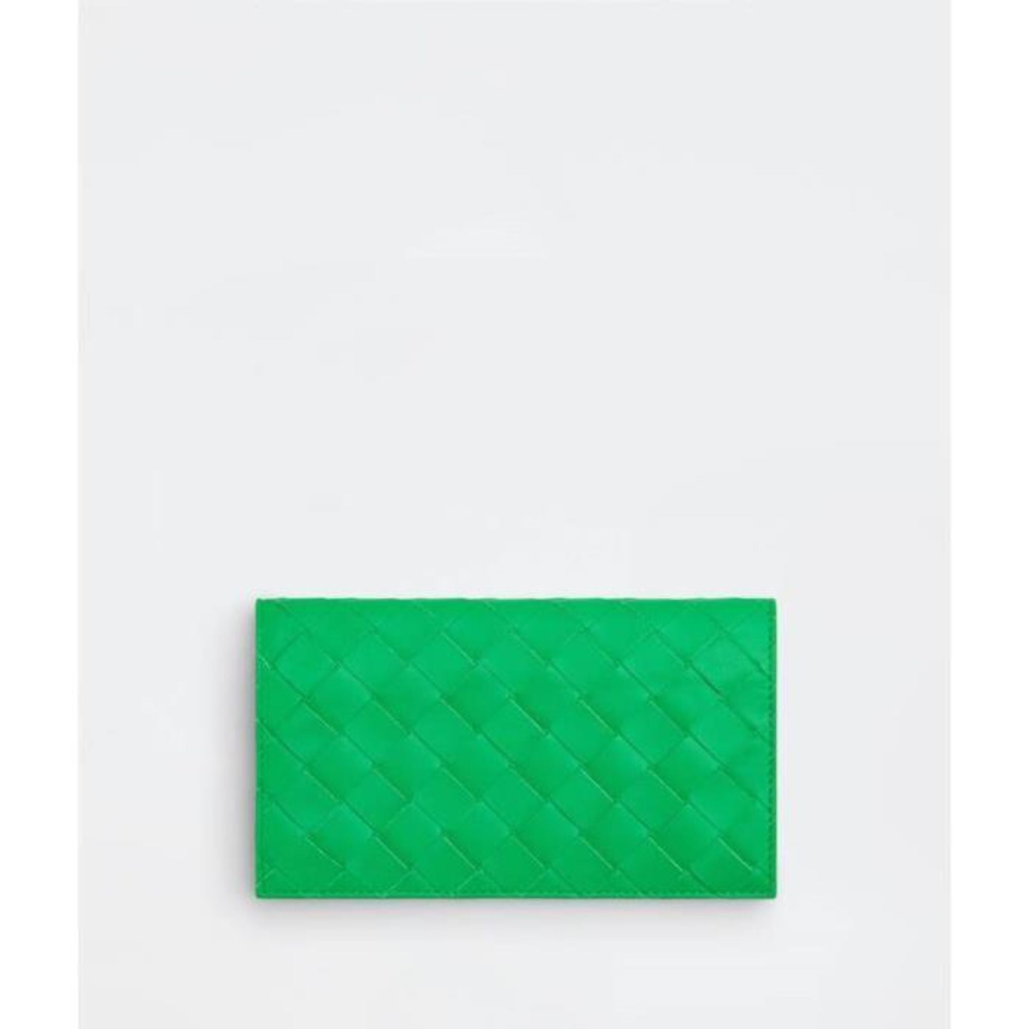 FLAP POUCH - PARAKEET-SILVER